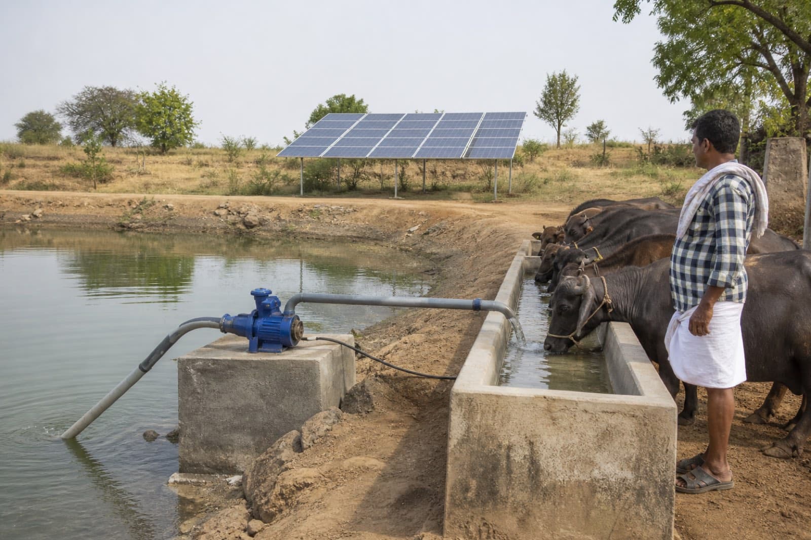 Livestock Watering & Pond Management
