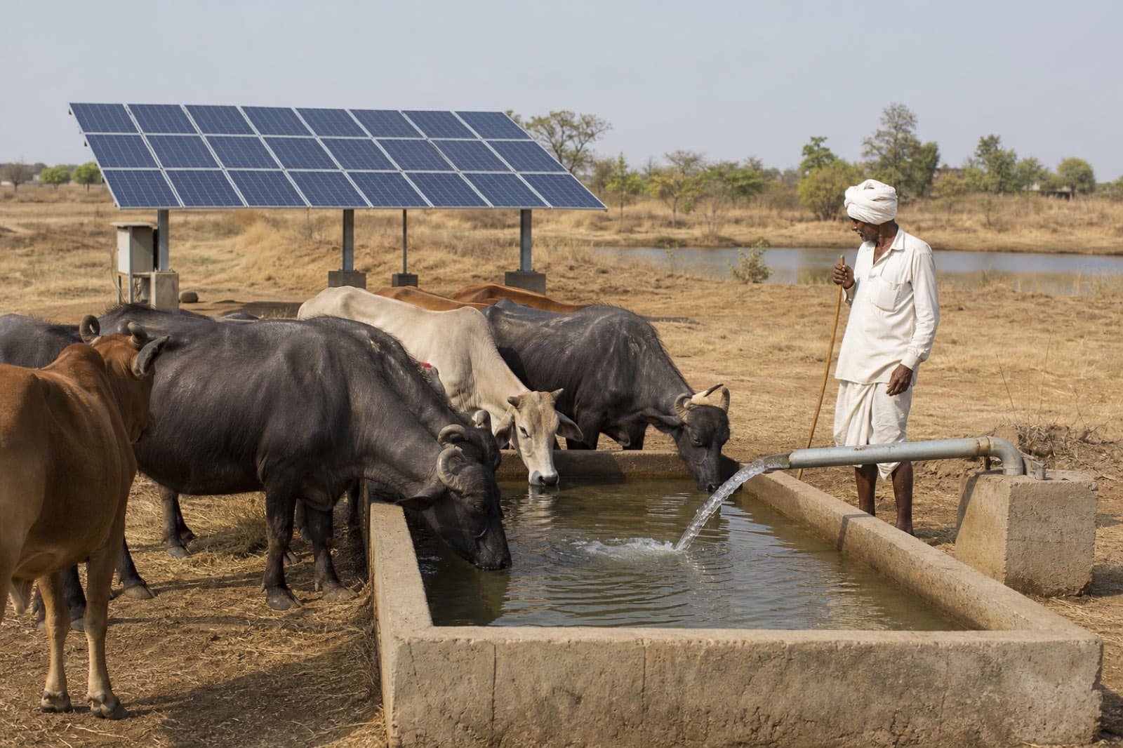 Livestock Watering & Pond Management